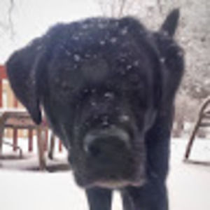 Meet your Posher, Maureen